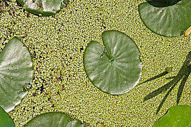 个人开发剧情互动游戏《修理行》已经正式上线Steam！