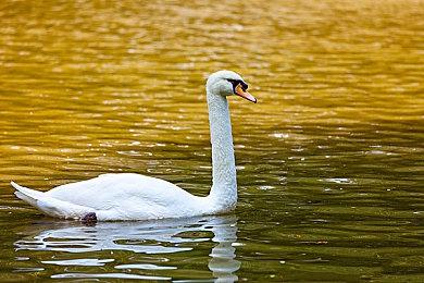 《天堂杀手》3月16日登陆主机 包含新内容更新